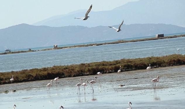 Kuş Cenneti’ne anjiyo: 40 km yatak temizlenecek
