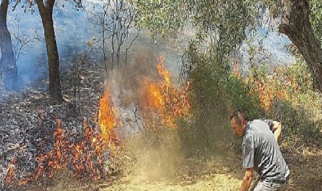 İzmir Kınık’taki yangında Devlet millet el ele verdi