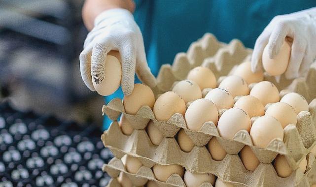 EİB’den Temmuz ayında 1 milyar 462 milyon dolarlık ihracat