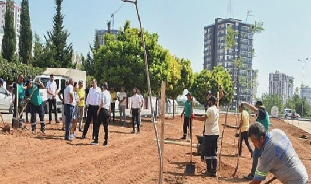 Başkan Özyiğit, “Bir Metre Asfalt Yapıyorsak Onun Yerine de Beş Ağaç Dikmeliyiz”