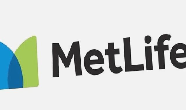 MetLife Türkiye Çalışanları, Daha Sürdürülebilir Bir Dünya için Gönüllü Çevre Temizliğine Devam Ediyor