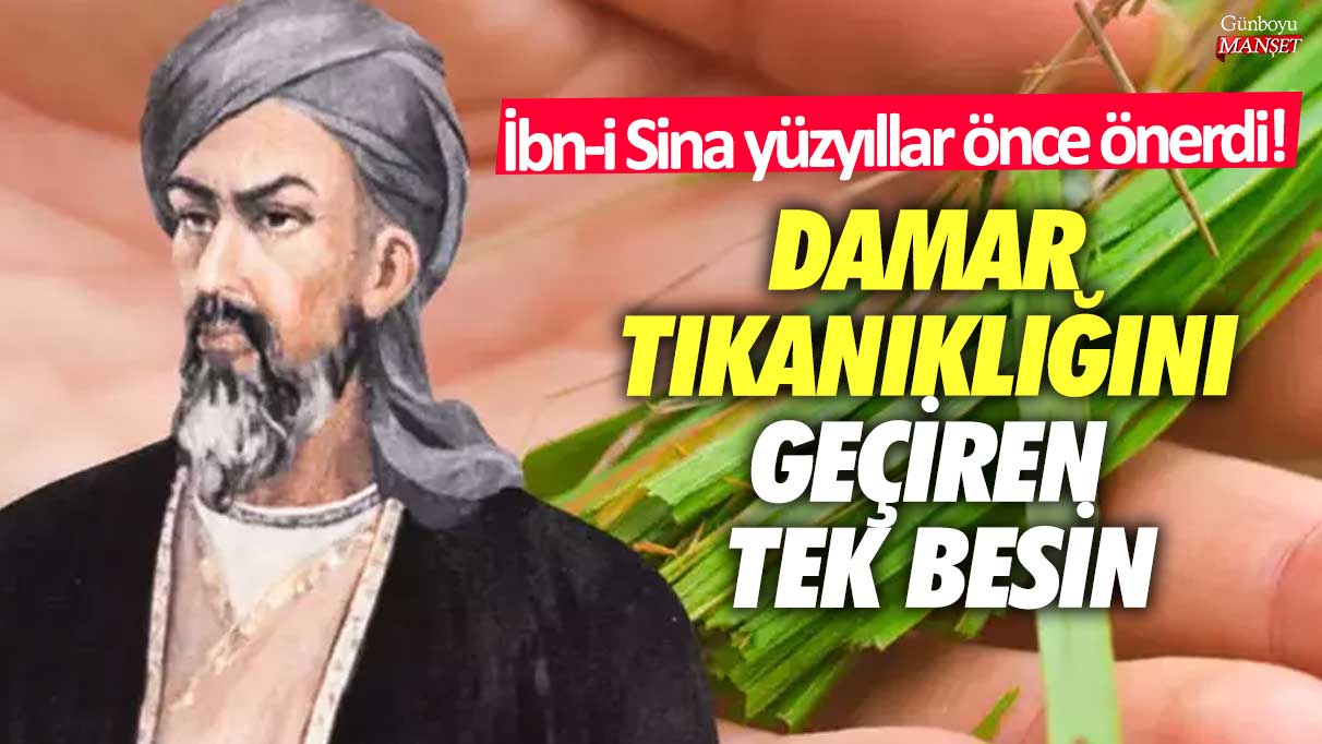 İbn-i Sina’nın yüzyıllar önce önerdiği tek besin, damar tıkanıklığını geçirebilir!
