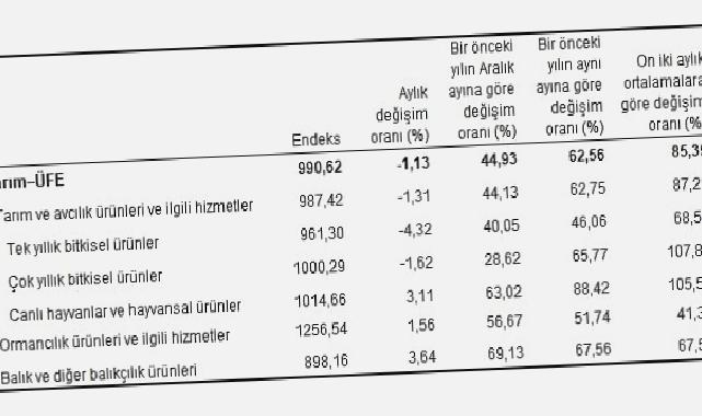 Tarım ürünleri üretici fiyat endeksi (Tarım-ÜFE) yıllık yüzde 62,56 arttı, aylık yüzde 1,13 azaldı