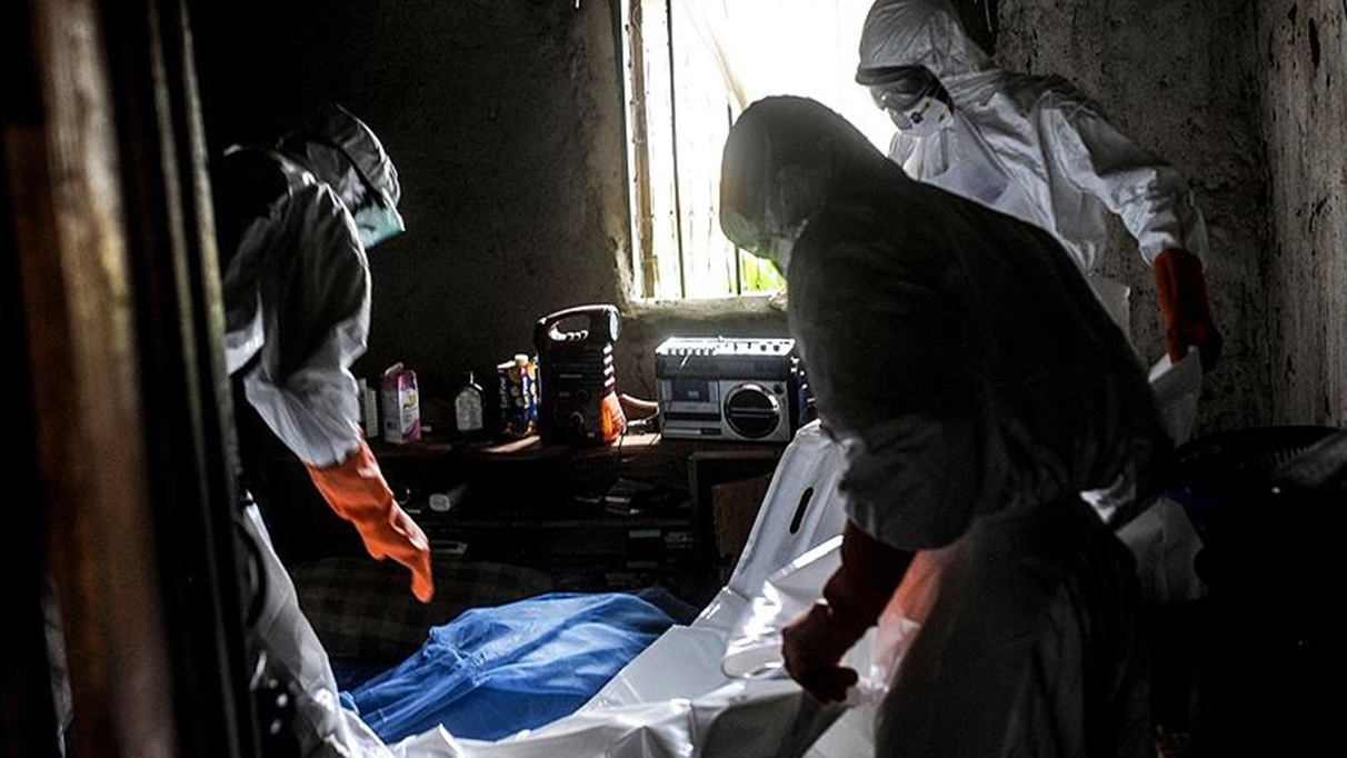 DSÖ, 5 Afrika ülkesinde şarbon salgınına dikkat çekiyor