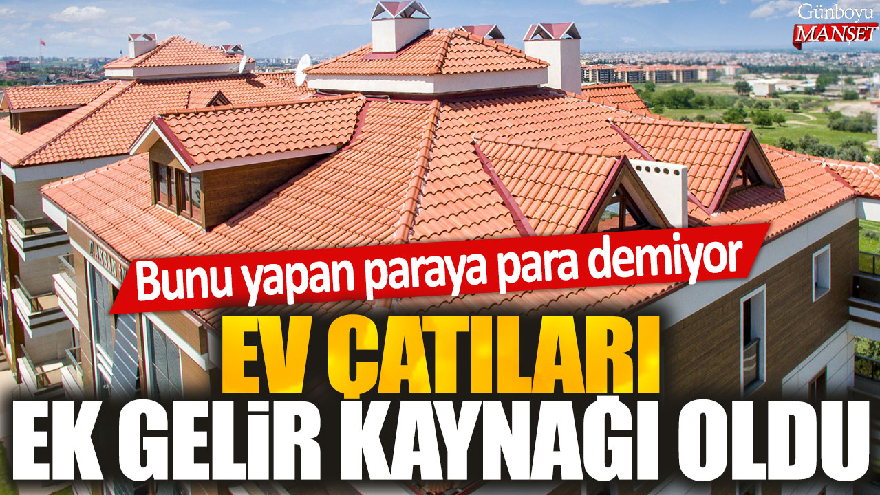 Ev Sahipleri Paraya Para Demiyor: Çatılarını Ek Gelir Kaynağı Olarak Kullanıyor
