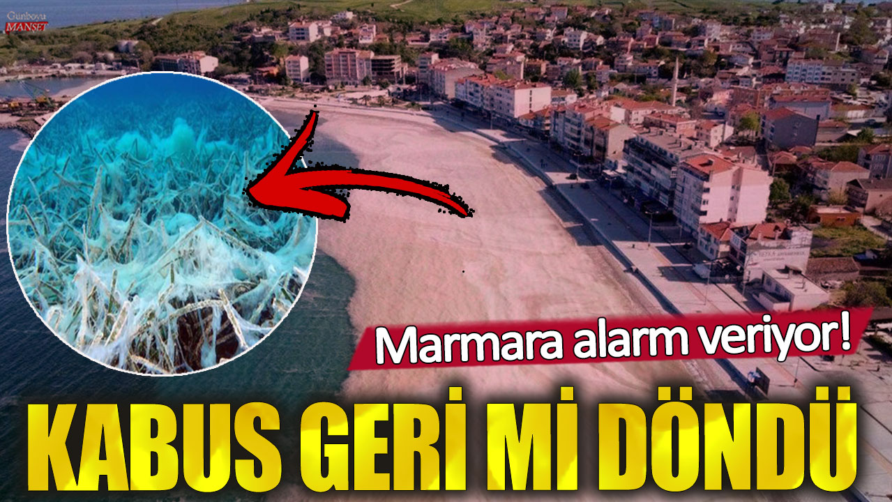 Marmara’da Alarm Veren Durum: Kabus Yeniden mi Dönüyor?