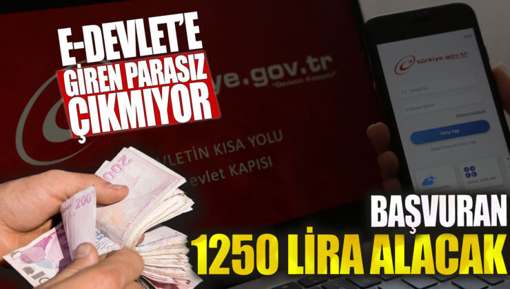 E-Devlet’e girenlerin parası geri ödenmiyor! Yardım talep edenler 1250 lira alacak.