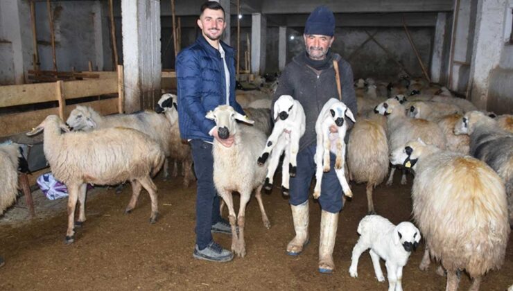 Depremzede besiciler, üretmeye devam ediyor