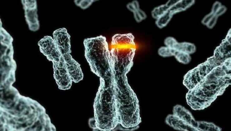 Kromozom bozukluğu genetik testlerle teşhis edilebilir