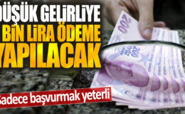 Düşük gelirli bireylere 7 bin lira destek ödemesi yapılacak: Sadece başvuru gerekiyor