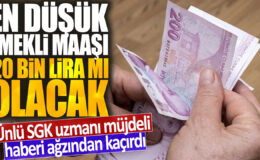 SGK uzmanı müjdeyi verdi: En düşük emekli maaşı 20 bin lira olabilir