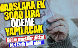 Emeklilere müjde! SSK, Bağ-Kur ve tüm emeklilere maaşlarına ek 3000 lira eklenecek.