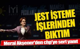 Meral Akşener’den CHP’ye sert tepki: Artık jest istemelerinden bıktım