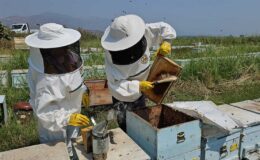 Son Dakika: Görülmemiş İçerik Ortaya Çıktı!