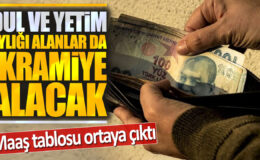 Dul ve Yetim Aylığı Alanlar da İkramiye Alacak! Maaş Tablosu Ortaya Çıktı